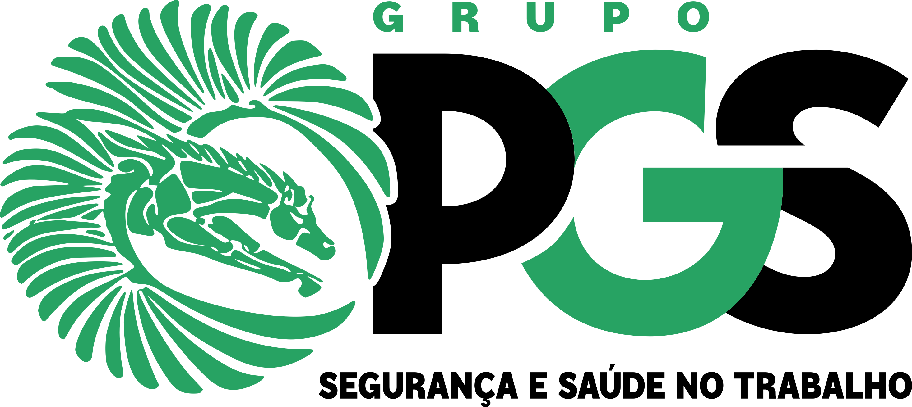 PGS Consultoria